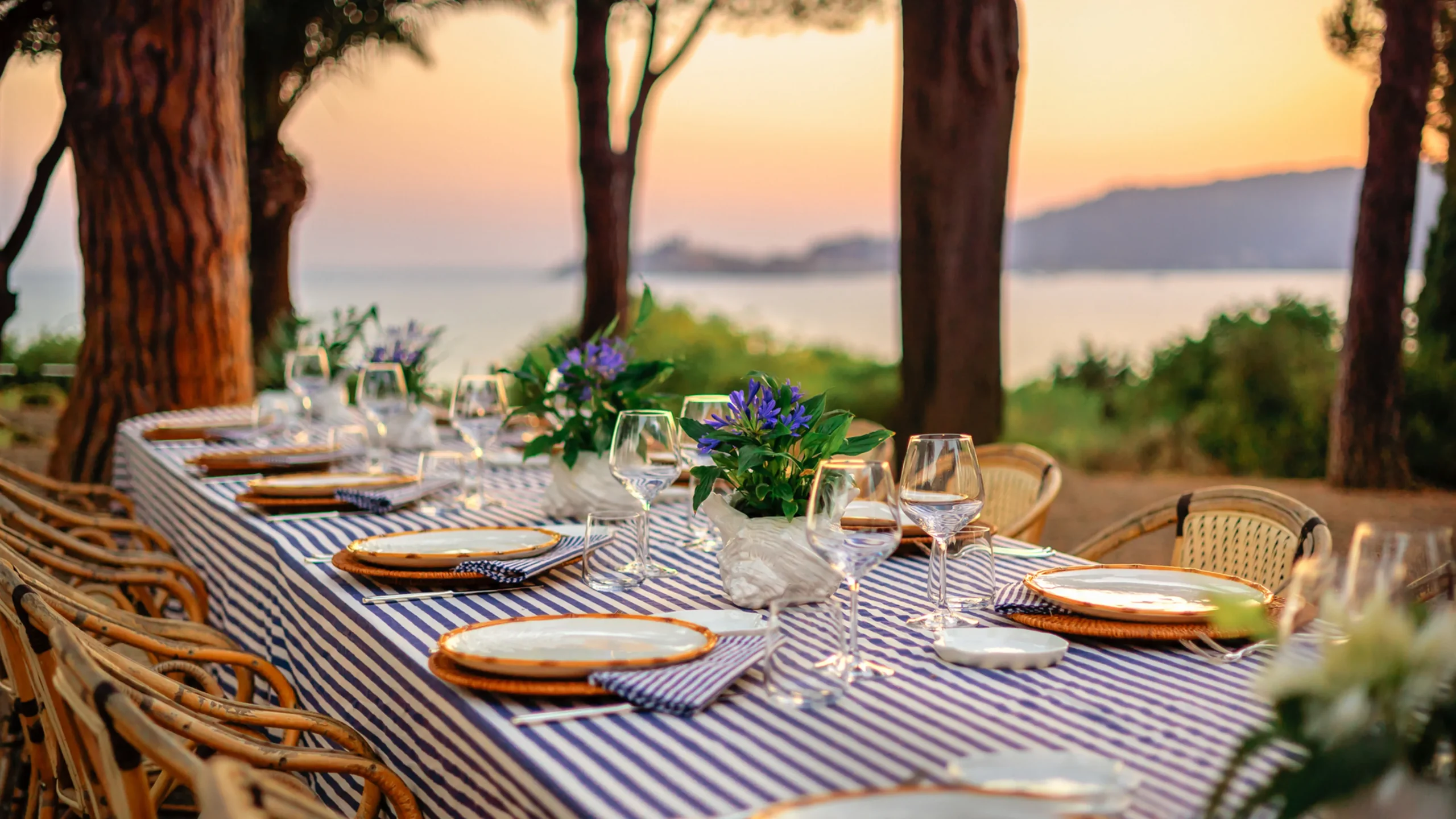 Culinary Wellness1111 scaled